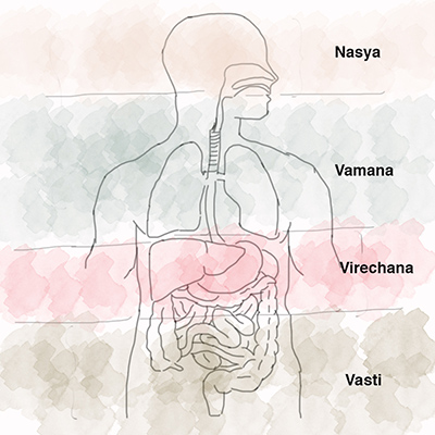 Panchakarma treatment for weight loss