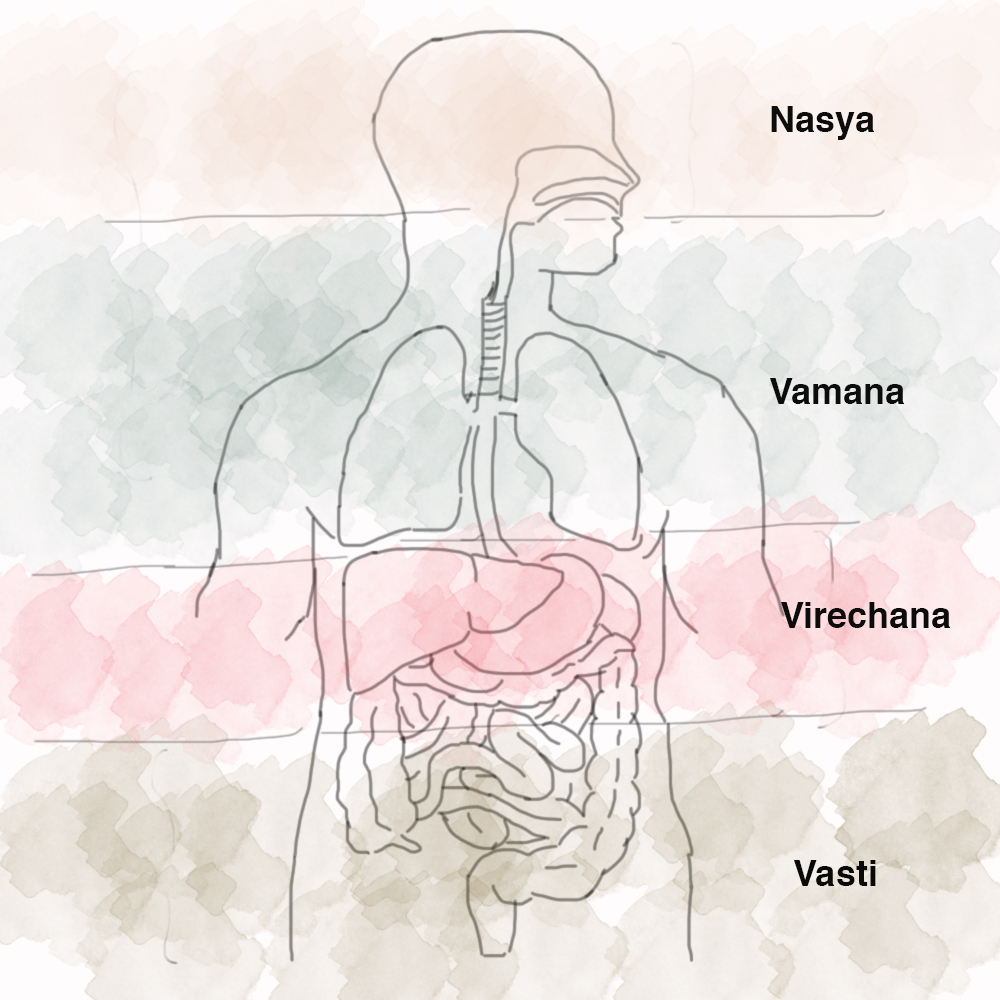 panchkarma