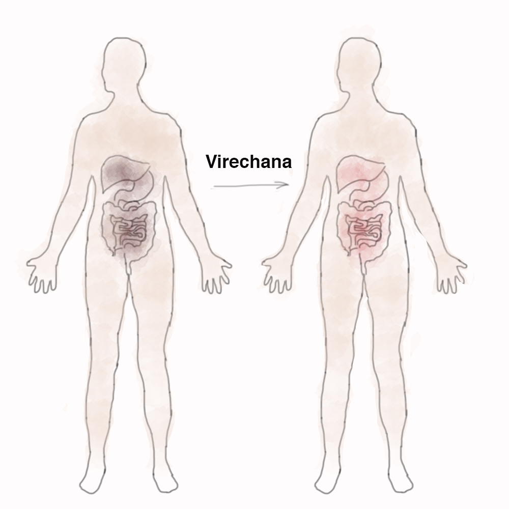 Virechana/ Purgation